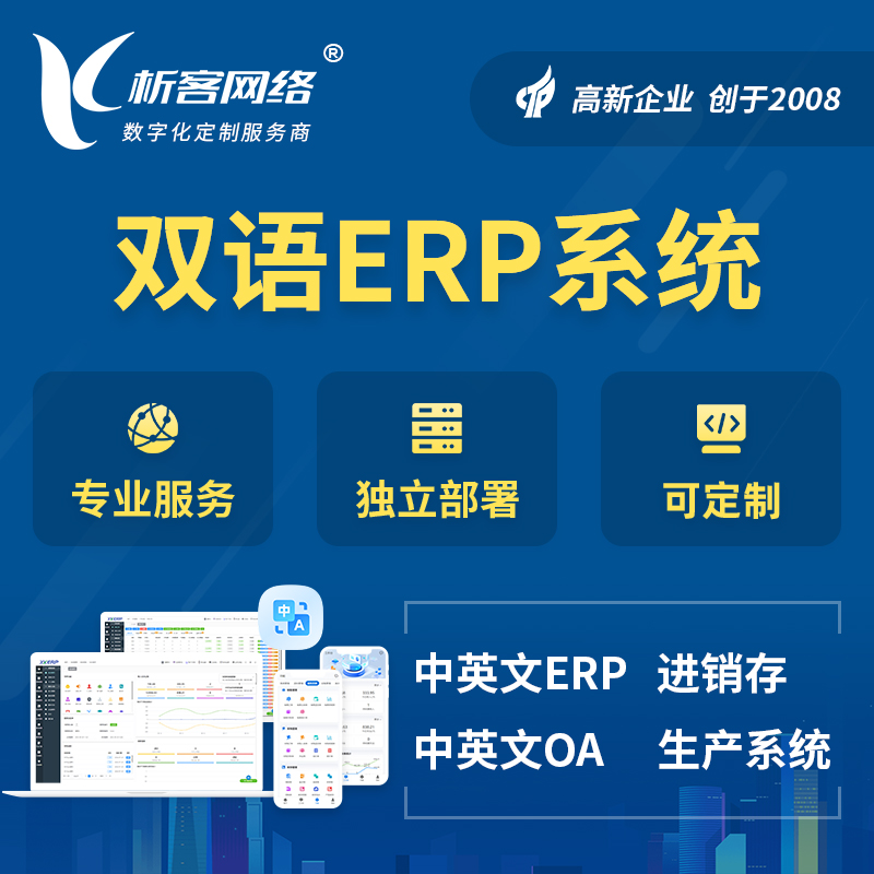 大同双语ERP系统
